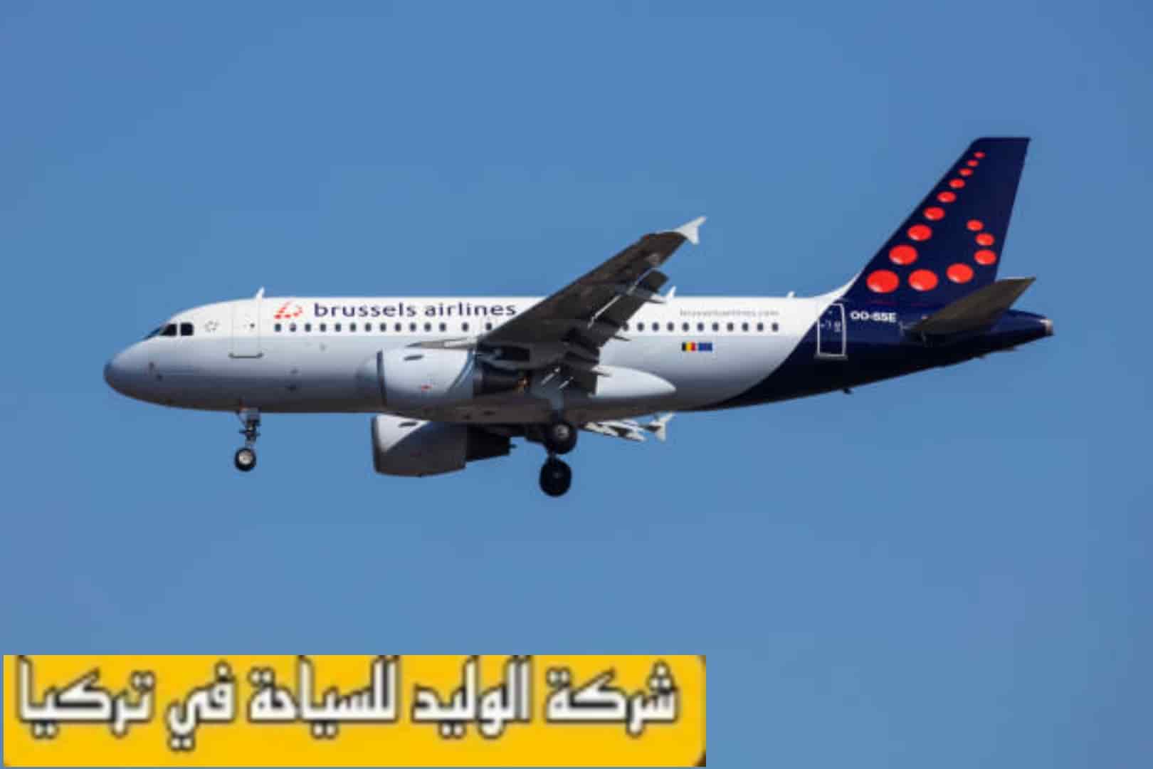 شركات الطيران تنقل المسافرين بين بروكسل والقاهرة