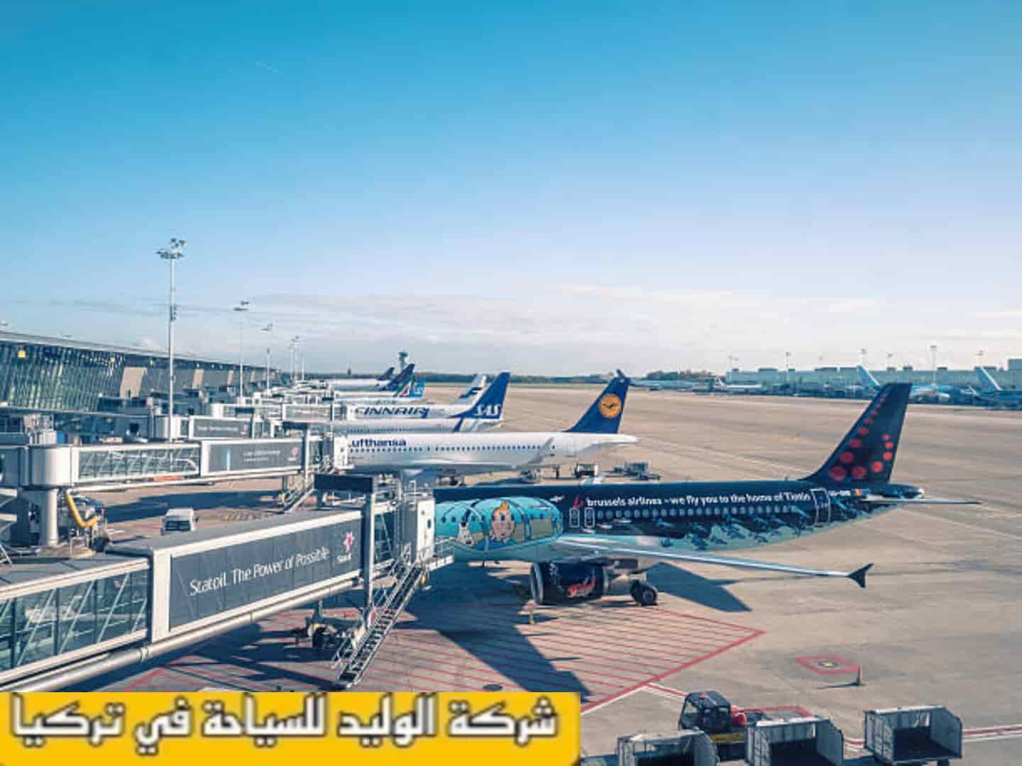 سعر حجز تذاكر طيران من بروكسل إلى القاهرة