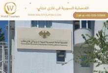 حجز موعد في القنصلية السورية في غازي عنتاب 